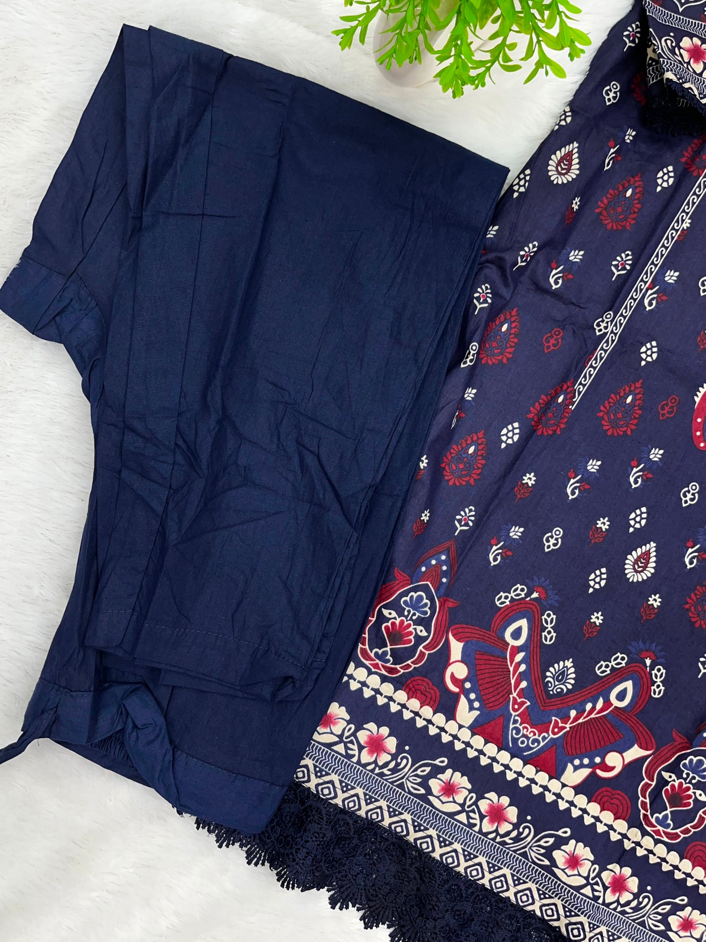 1231 Pakistani Printed Suit