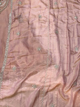 1463 Pakistani Party Wear - Peach Pink