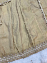 1463 Pakistani Party Wear - Beige