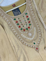 1463 Pakistani Party Wear - Beige