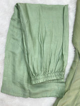 1463 Pakistani Party Wear - Pista Green