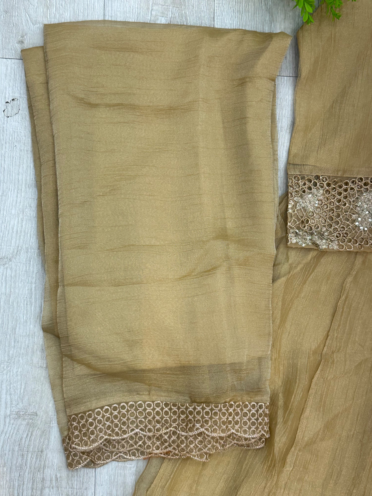 1527 Pakistani Anarkali Gown - Golden Beige