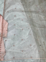 1431 Heavy Pakistani Partywear - Cream