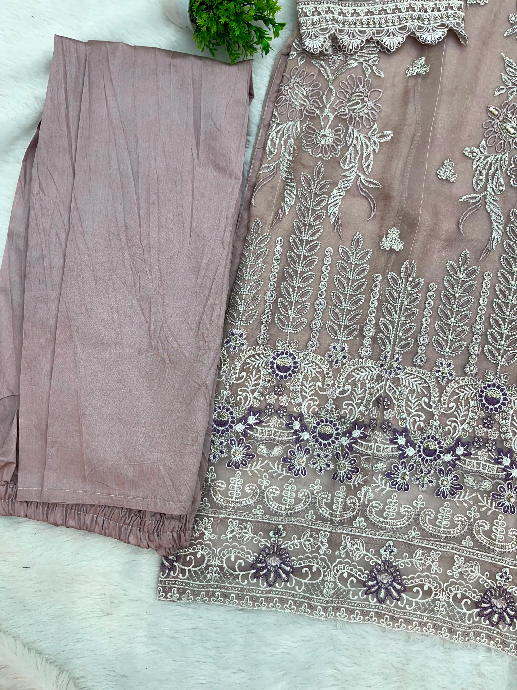 1147 Mushk Premium Pakistani Partywear - Onion Pink