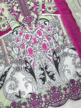 720 Pakistani Heavy Lawn Suit