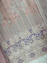 1147 Mushk Premium Pakistani Partywear - Onion Pink
