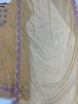 1151 Premium Pakistani Partywear