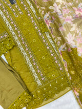 1150 Mushk Premium Pakistani Partywear