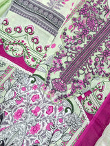 720 Pakistani Heavy Lawn Suit