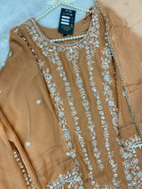 1429 Heavy Pakistani Partywear - Peach