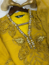 728 Premium Pakistani Party Wear