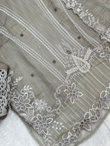654 Pakistani Party Wear