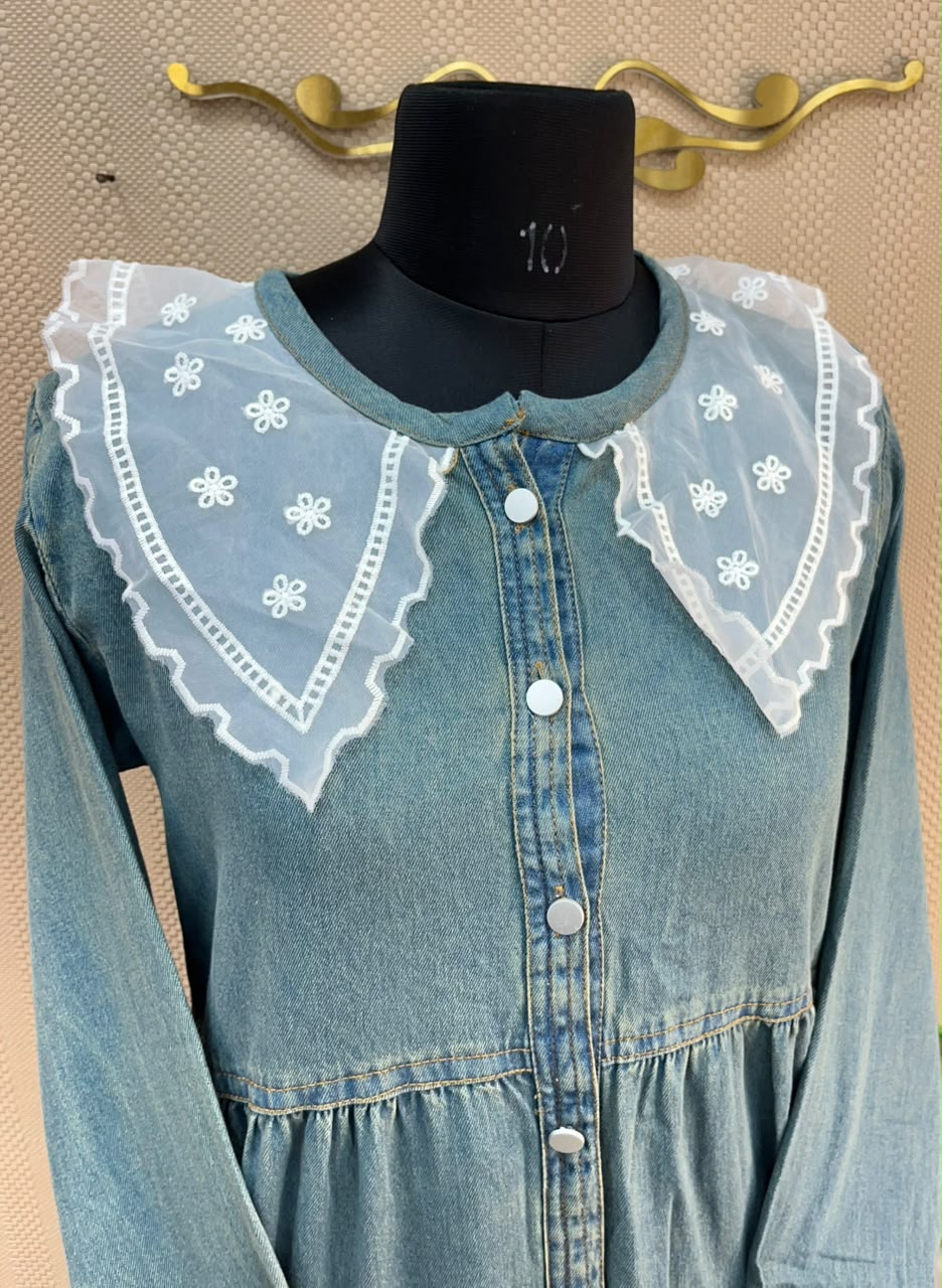 1229 Embroidered Denim Gown - Grey