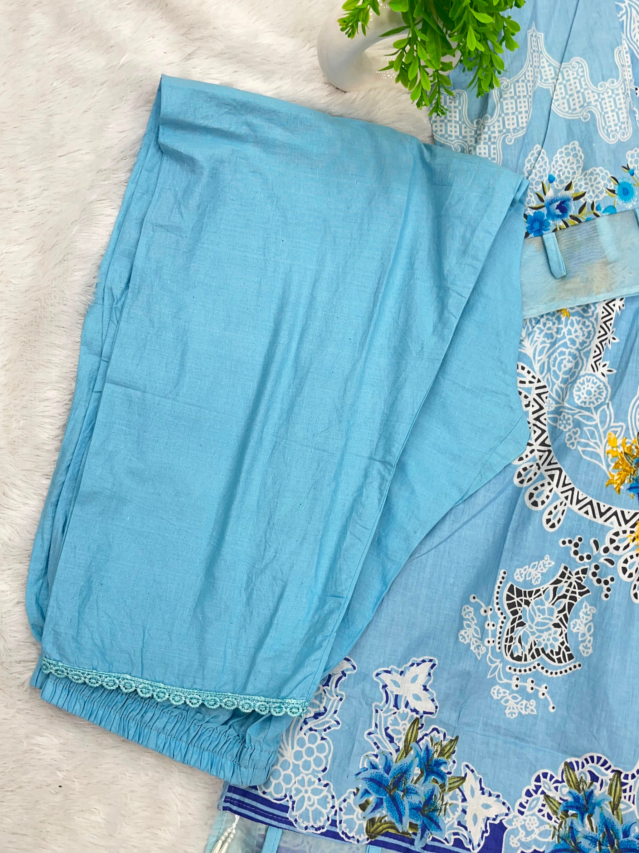 1301 Pakistani Customized Printed Suit