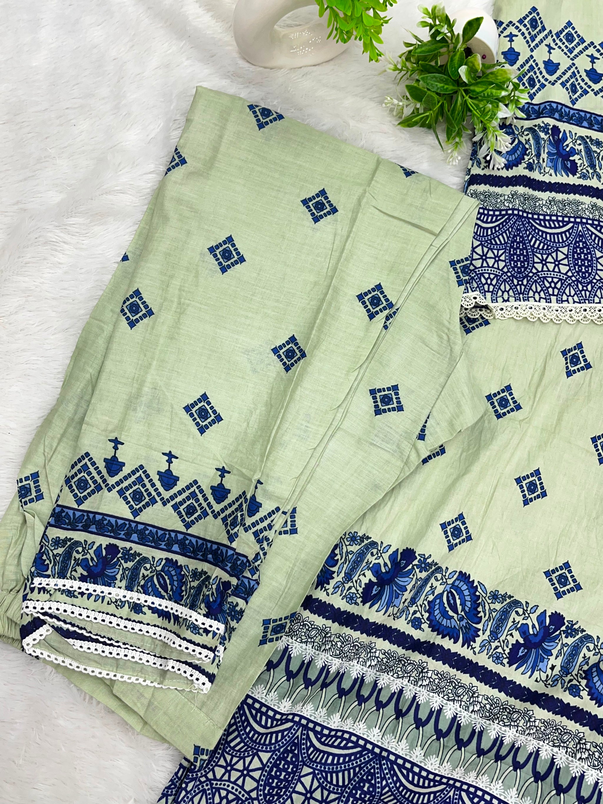 1247 Pakistani Printed Suit