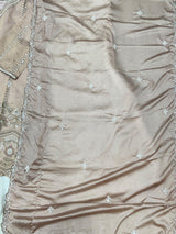 1428 Heavy Pakistani Partywear - Nude Peach
