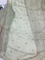 1427 Heavy Pakistani Partywear - Pista Green