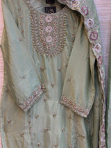 1784 Pakistani Party Wear - Pista Green