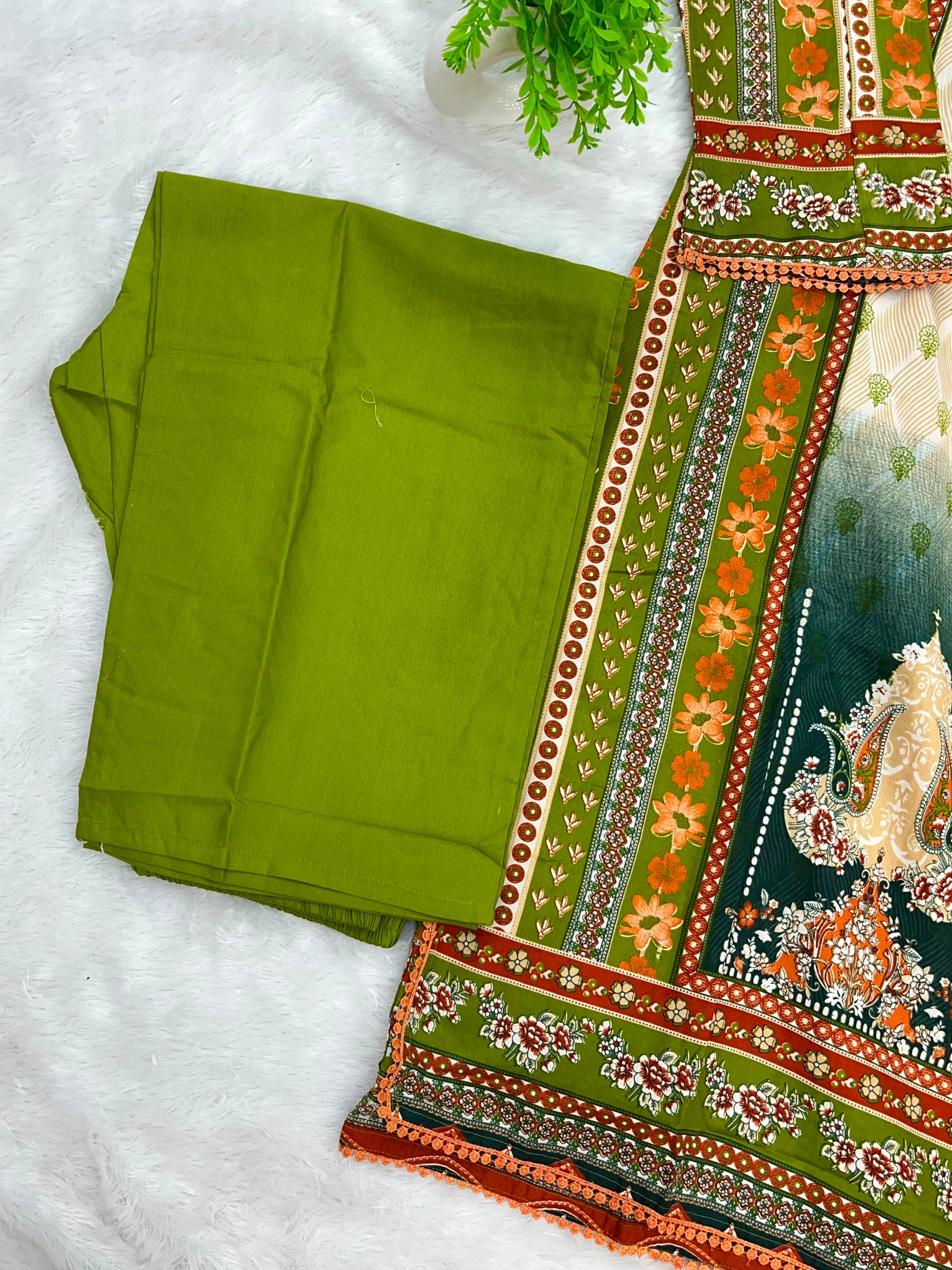 1259 Pakistani Printed Suit