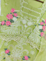 717 Pakistani Heavy Lawn Suit
