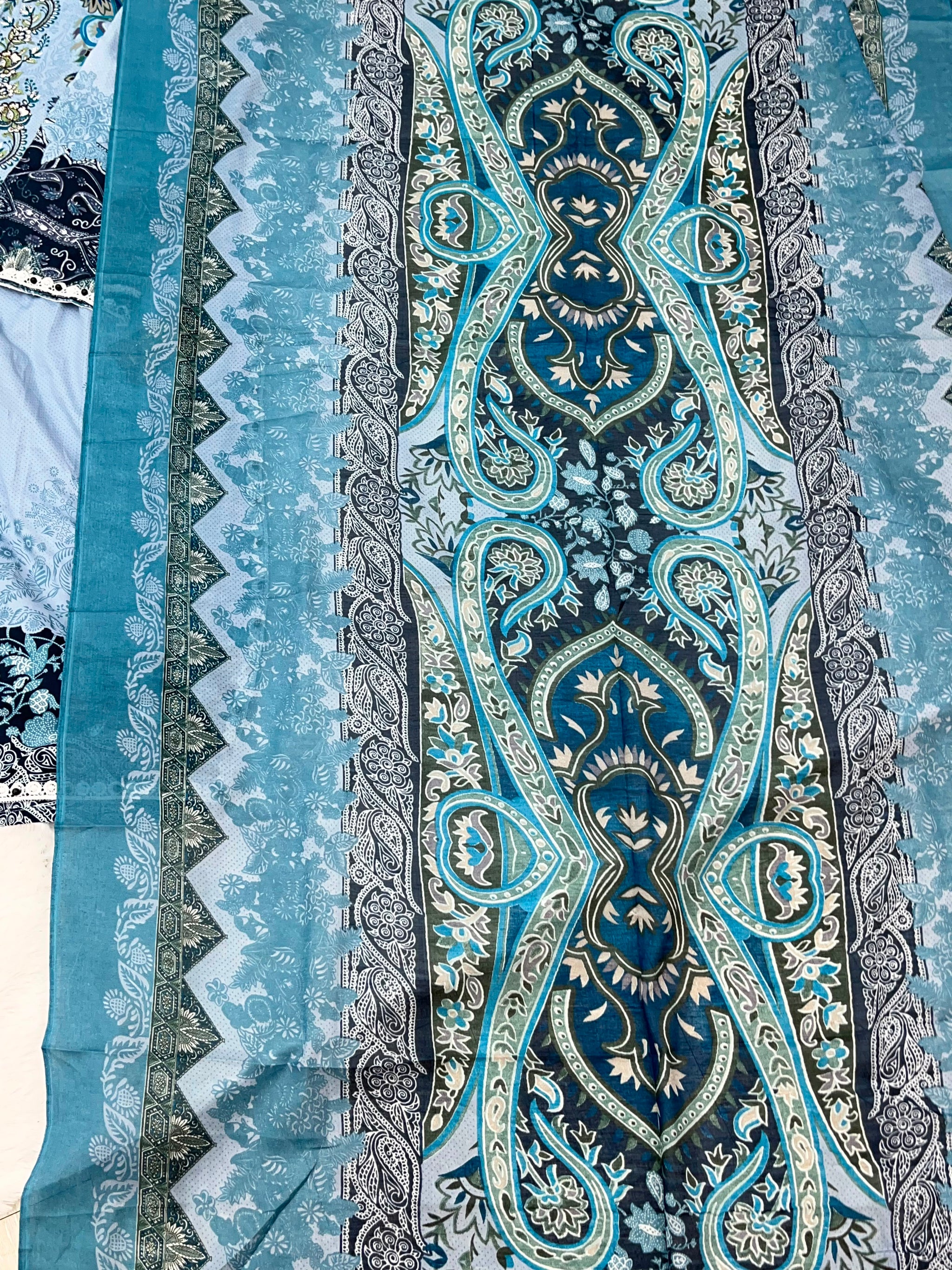 1307 Pakistani Embroidered Suit - Vandana Aarzu