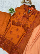 731 Premium Pakistani Party Wear