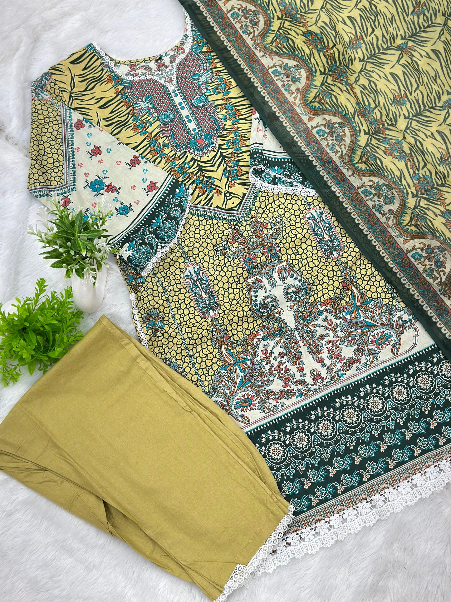 1074 Pakistani Printed Suit
