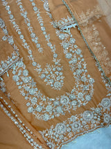 1429 Heavy Pakistani Partywear - Peach