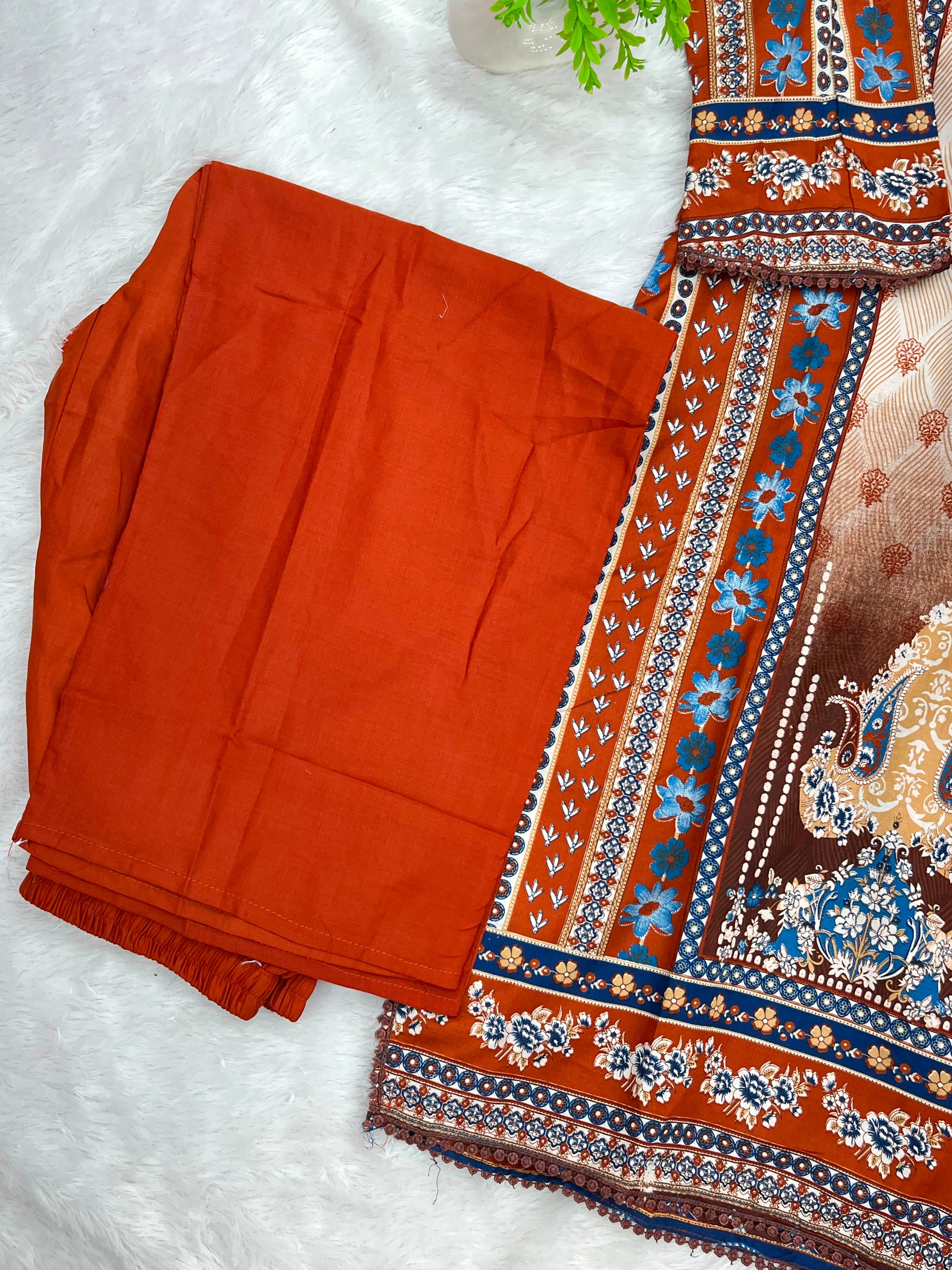 1258 Pakistani Printed Suit
