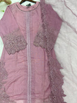 624 Premium Pakistani Party Wear - Pink