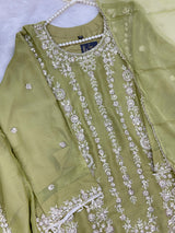 1429 Heavy Pakistani Partywear - Green