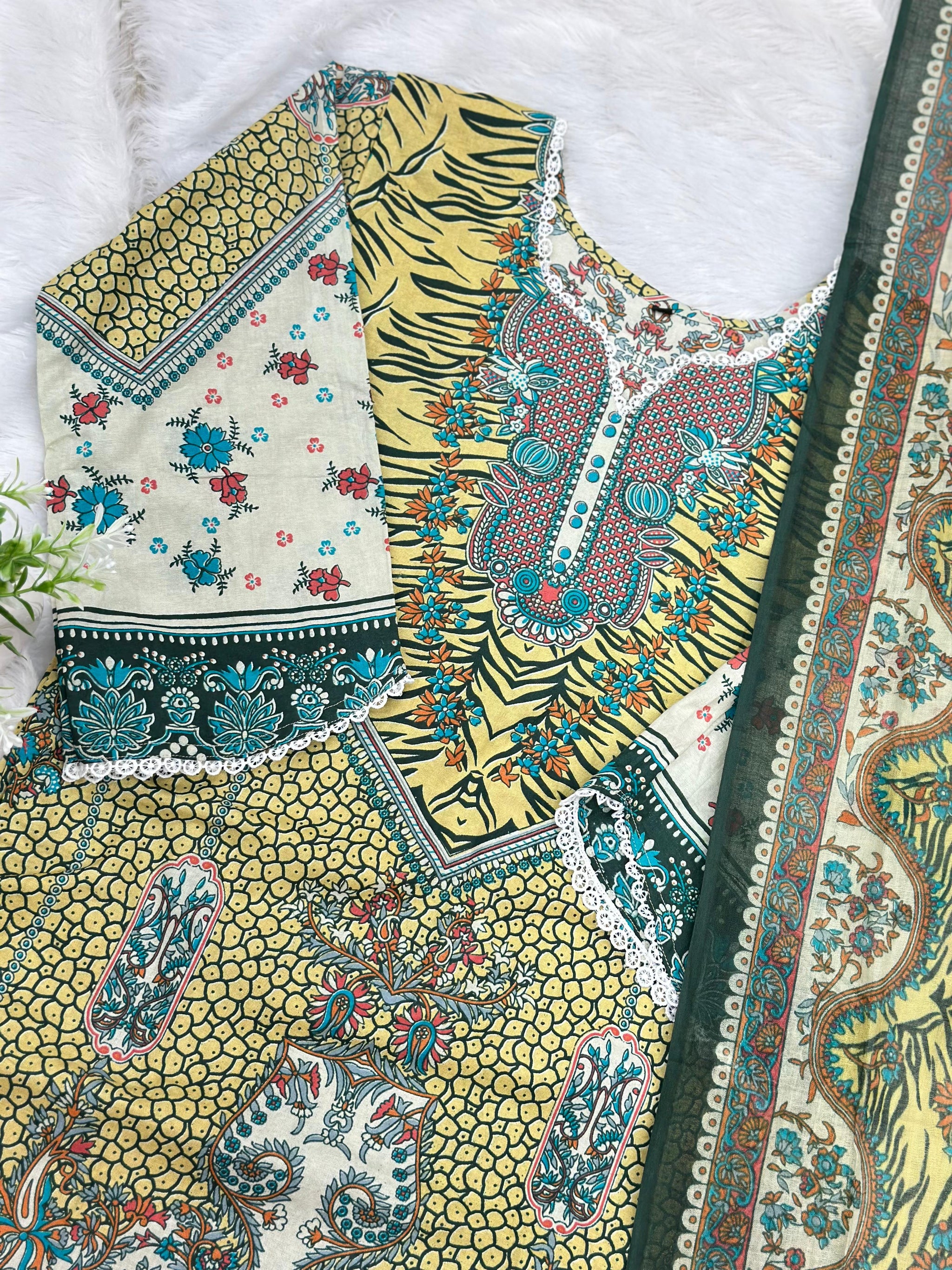 1074 Pakistani Printed Suit