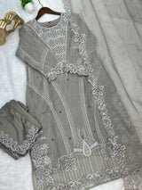 654 Pakistani Party Wear