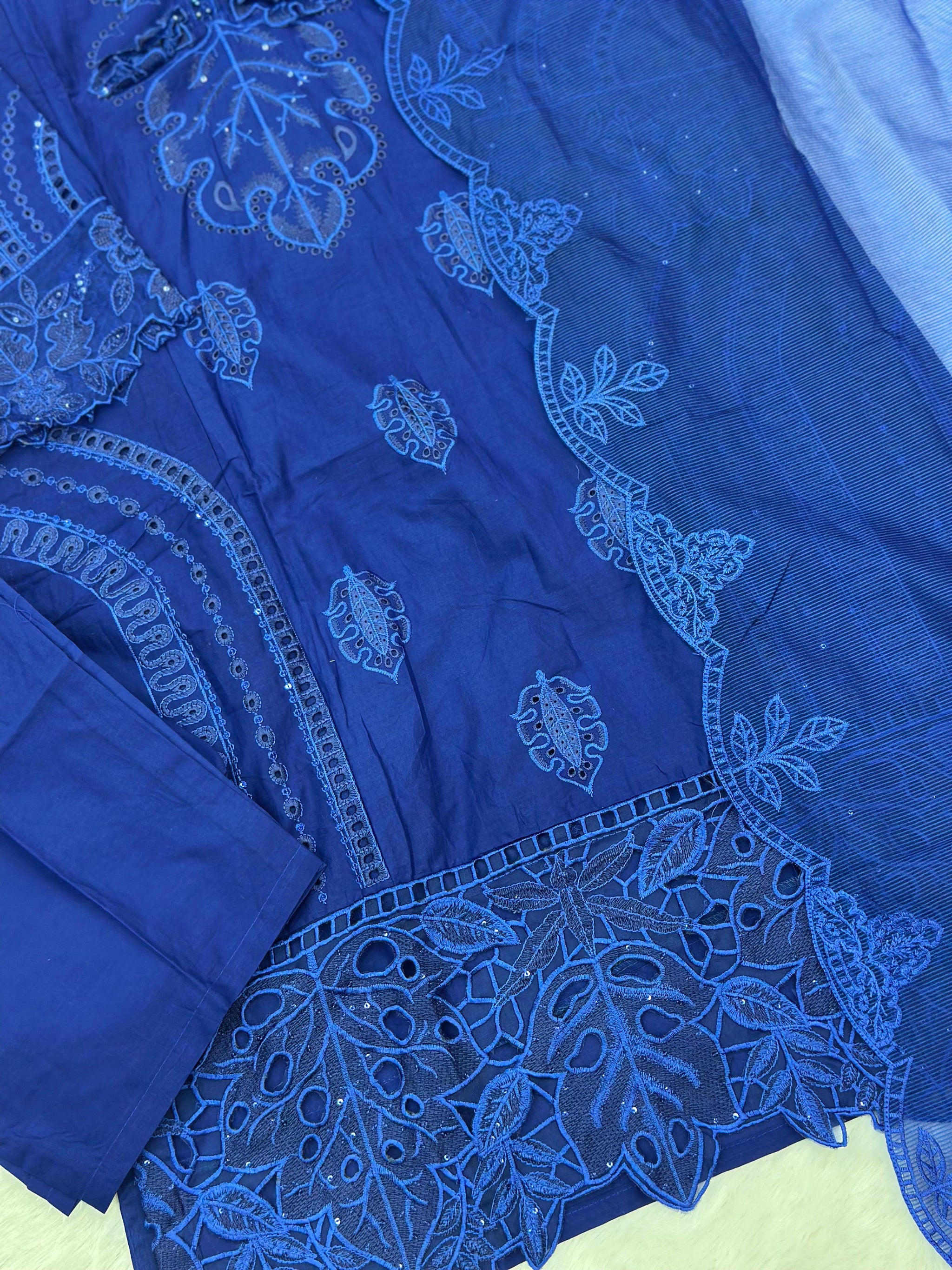 732 Premium Pakistani Party Wear