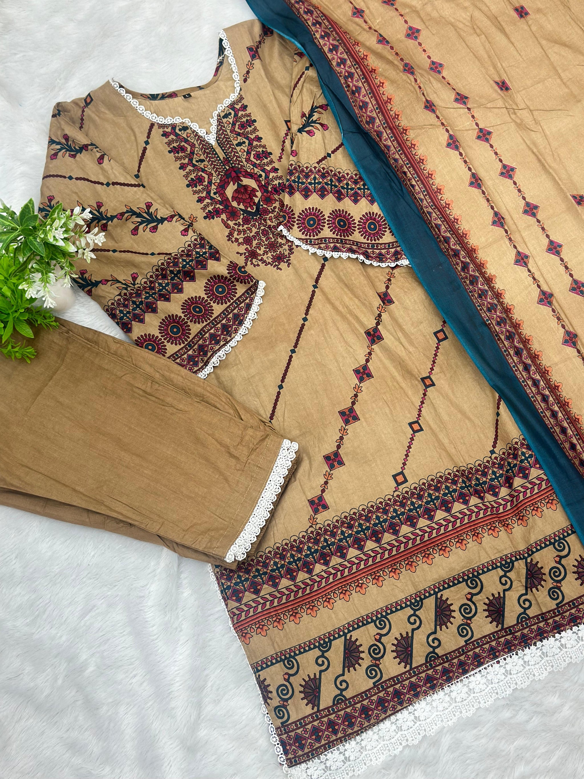 1066 Pakistani Printed Suit