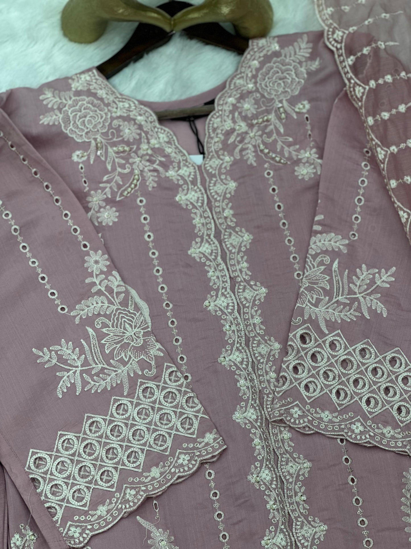 698 Pakistani Cut-Work Party-wear