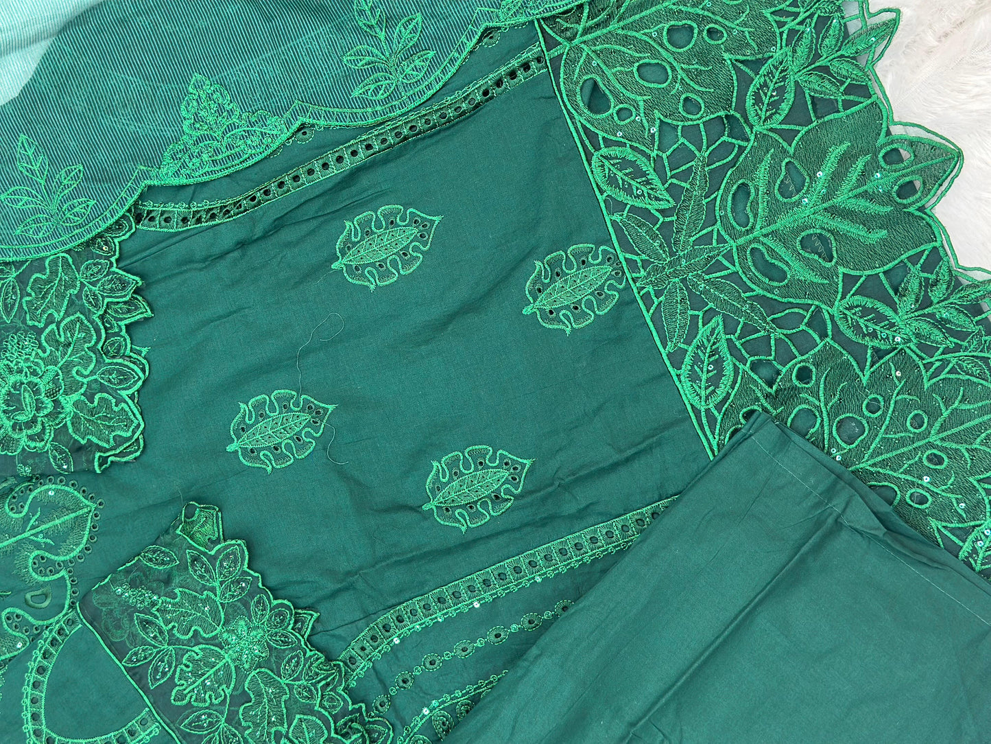 729 Premium Pakistani Party Wear
