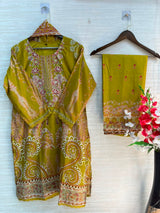 1104 Pakistani Embroidered Suit