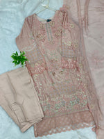 1433 Heavy Pakistani Partywear -  Nude Pink