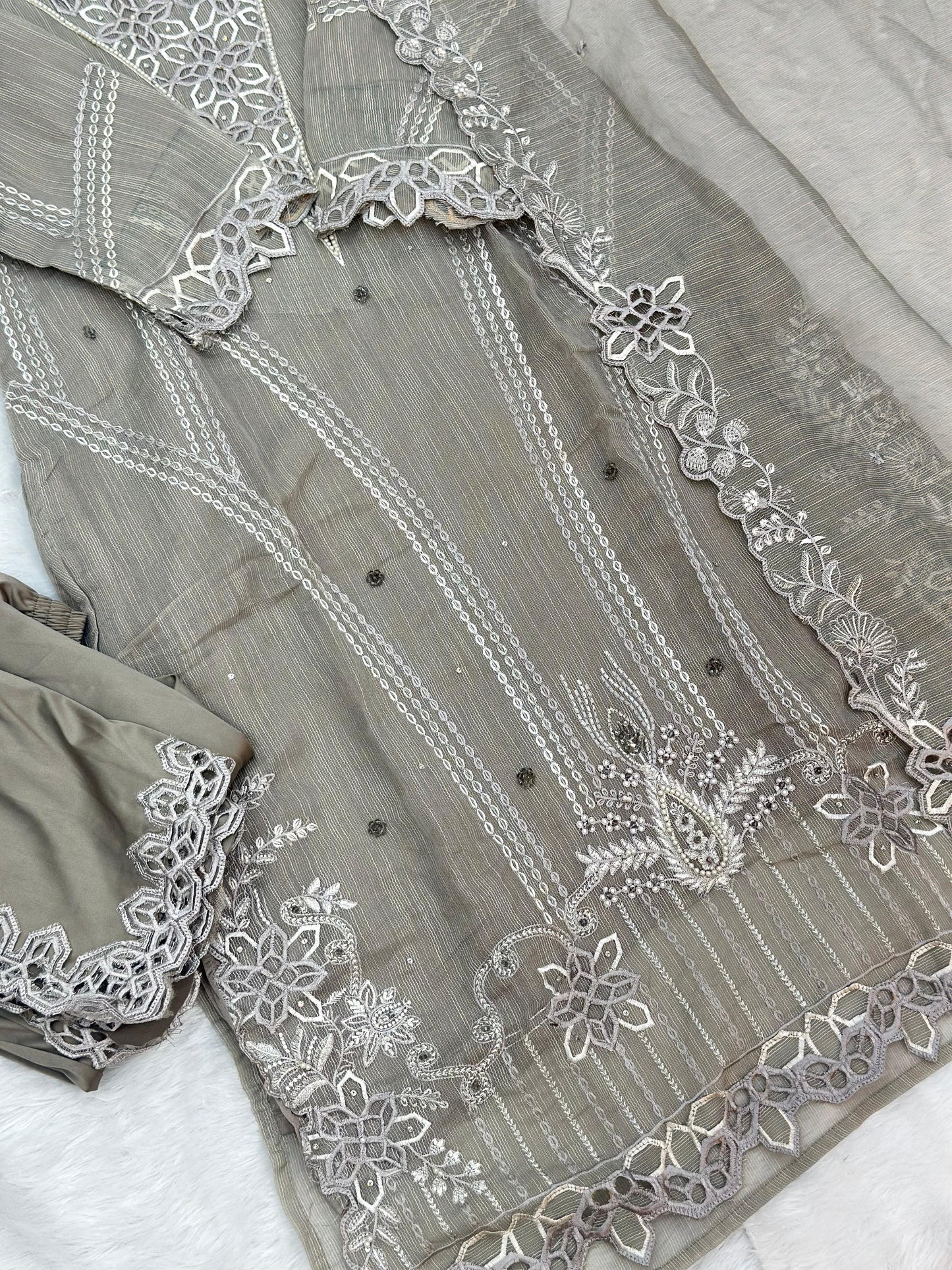 654 Pakistani Party Wear